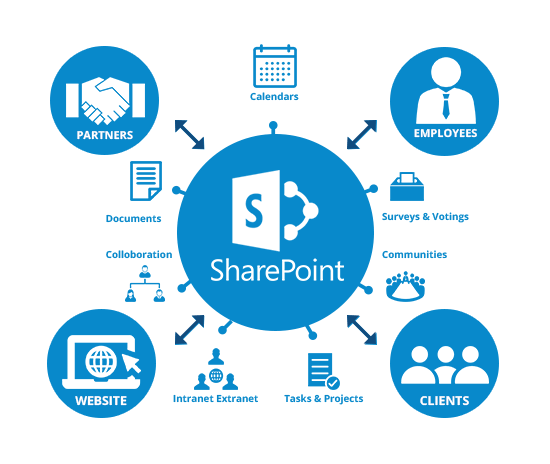 Microsoft Software Office 365 Dresdner ProSoft